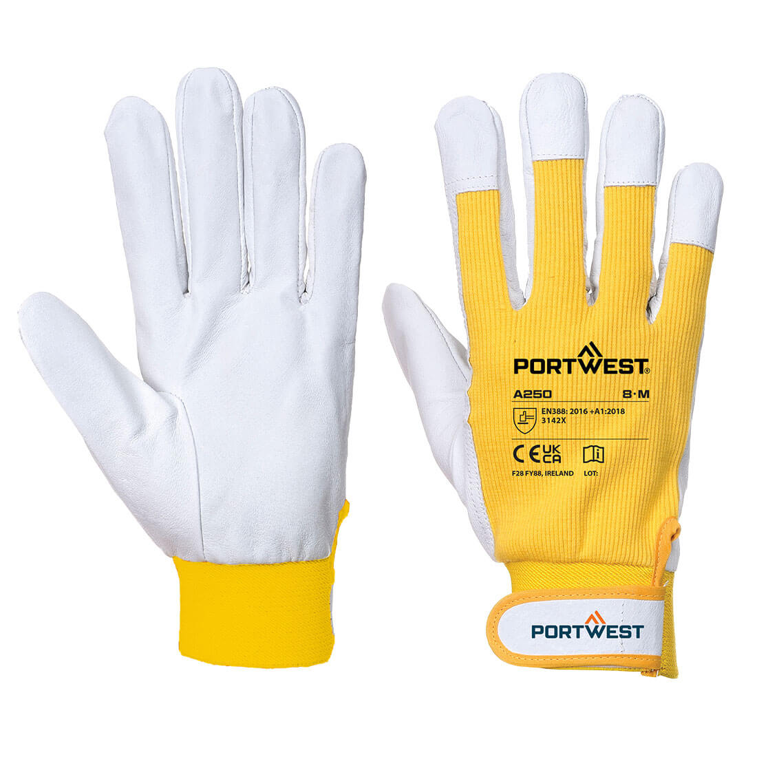 Tergsus glove