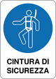 Cartello imbracatura di sicurezza 3958