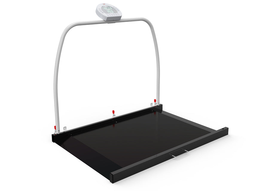 PLATEFORME NUMÉRIQUE WUNDER RW2.0 AVEC MAIN COURANTE 300 kg - Classe III