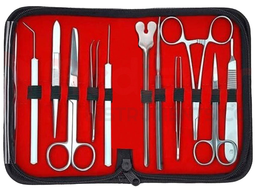 KIT DE DISECCIÓN PARA PRÁCTICA EN ACERO INOX AISI 202 - 11 piezas