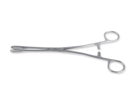 RAMPLEY-ZANGE – 18 cm