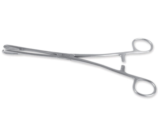 RAMPLEY-ZANGE – 24 cm