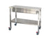 STAINLESS STEEL WORK TABLE