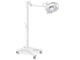 LAMPE SCIALITIQUE PENTALED 30E - sur pied avec pile