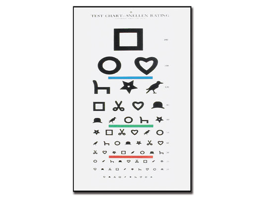 TELLER „ILLETERIATE“ – 6 m – 28 x 56 cm
