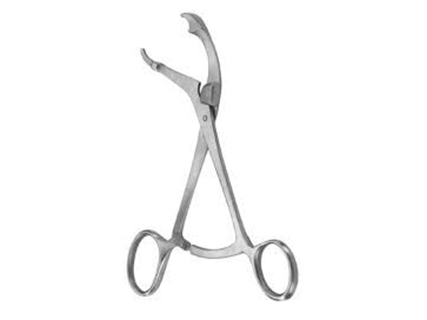 PINZA OSSA VERBRUGE - 24 cm