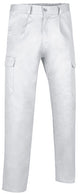 Pantaloni da lavoro multitasche Caster