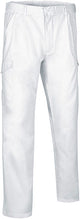 Pantaloni da lavoro multitasche Quartz