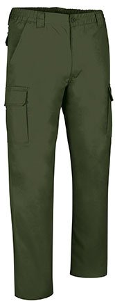 Pantaloni da lavoro multitasche Roble