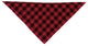 Fazzoletto triangolare Cachirulo
